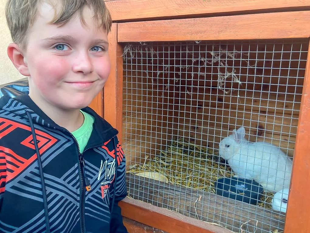 Fotografie z článku: Soví ukončení vesmírné mise