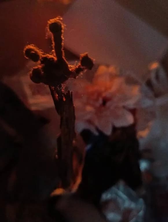 Fotografie z článku: Uplatnění nových metod ze zahraničí