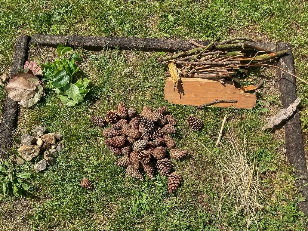 Fotografie z článku: Téma brouci ve ll. A a lll. A