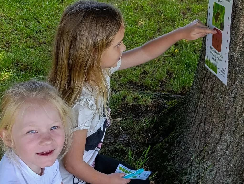 Fotografie z článku: Téma brouci ve ll. A a lll. A