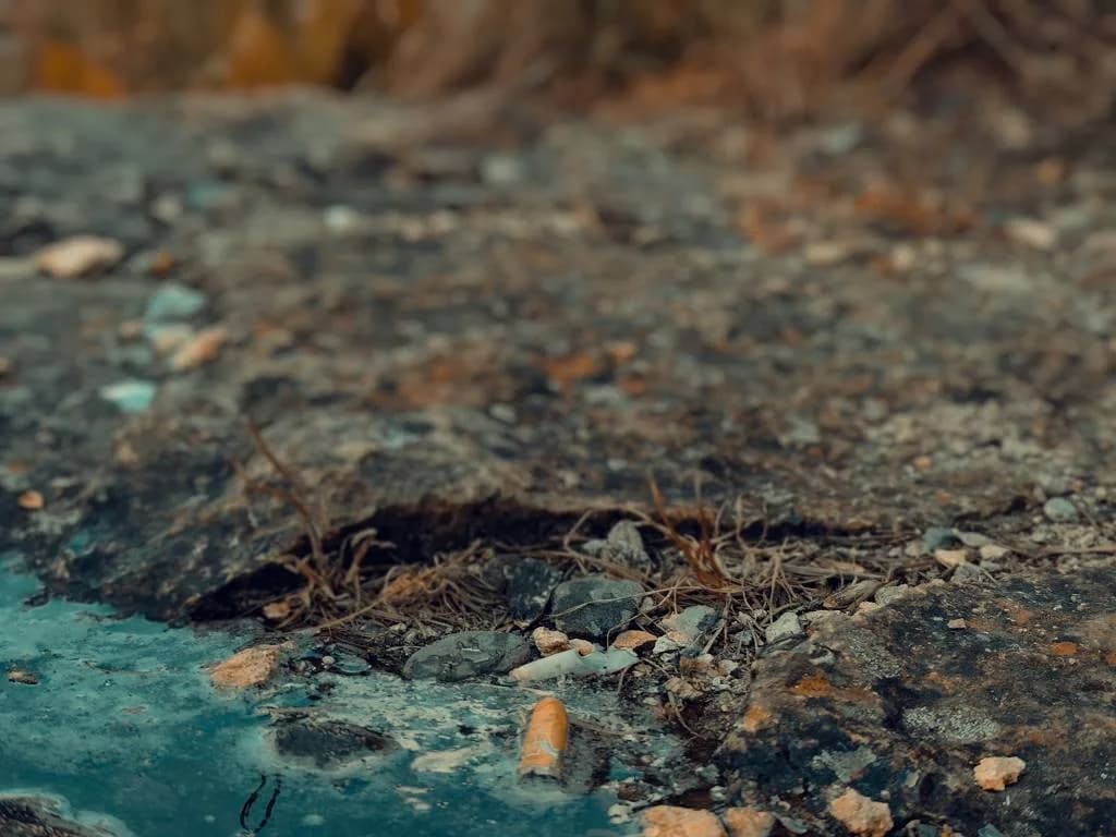 Fotografie z článku: Uplatnění nových metod ze zahraničí