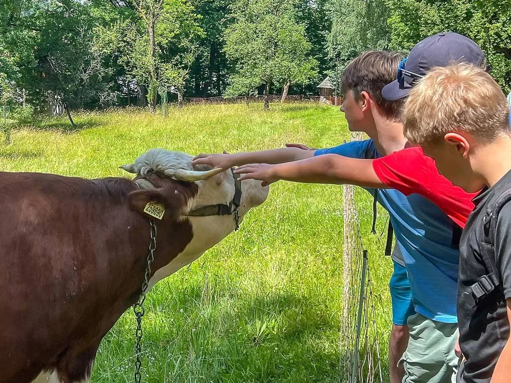 Fotografie z článku: Výlet VI. AC do Rožnova pod Radhoštěm